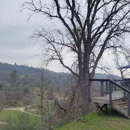 Sequoia Resort Badger Exterior foto