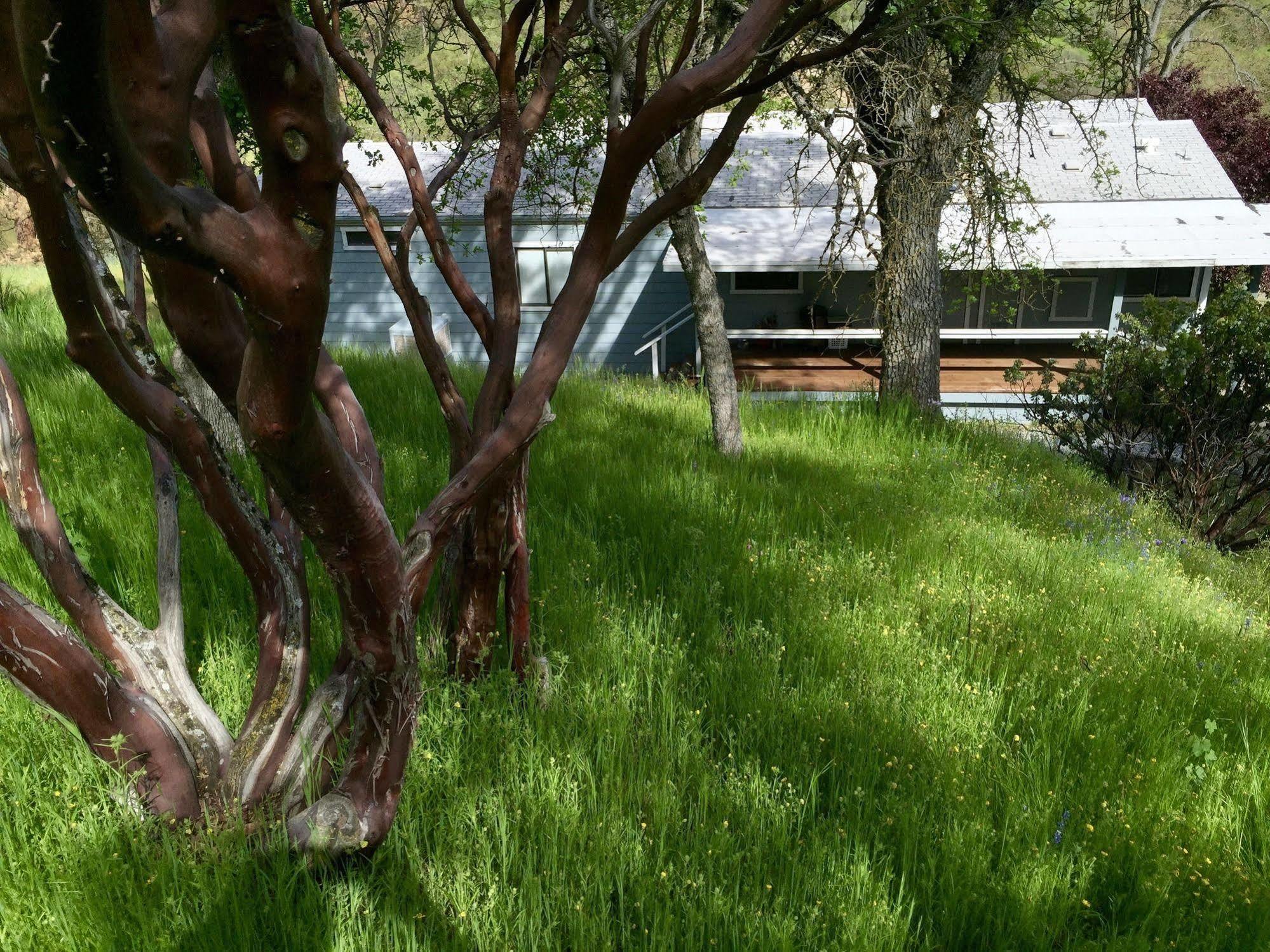 Sequoia Resort Badger Exterior foto